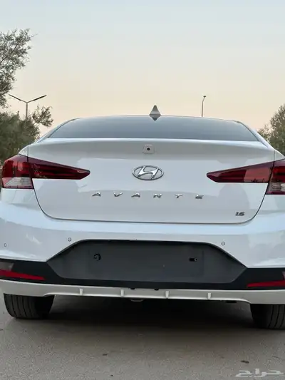 النتر 2019 شبة جديد 5