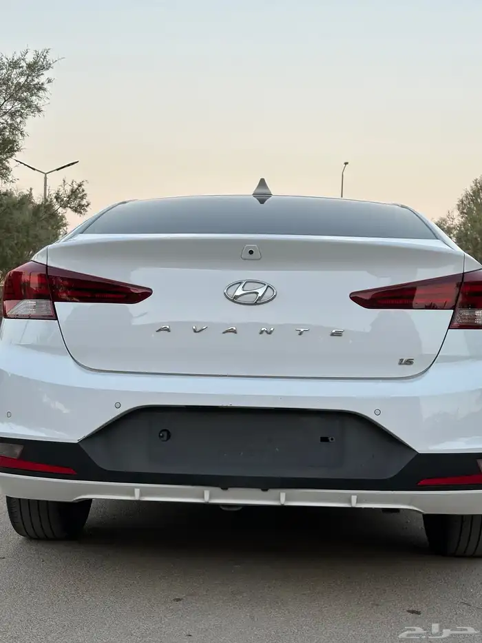 النتر 2019 شبة جديد 5