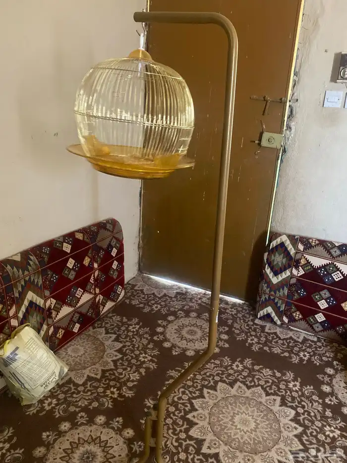 شبك ببغاء 0