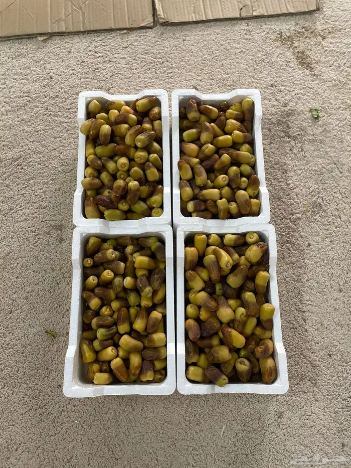 رطب برني فاخر 0
