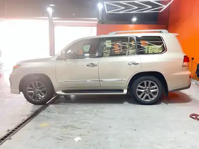 الصنف والنادر 15 بريمي 1