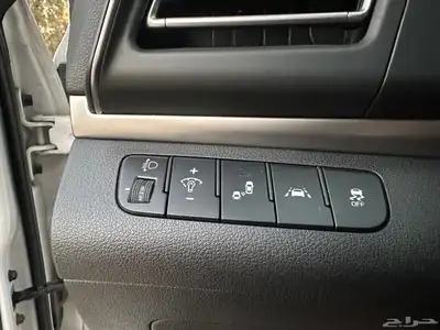 النتر 2019 شبة جديد 15