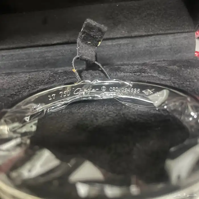 سواره كارتير 1