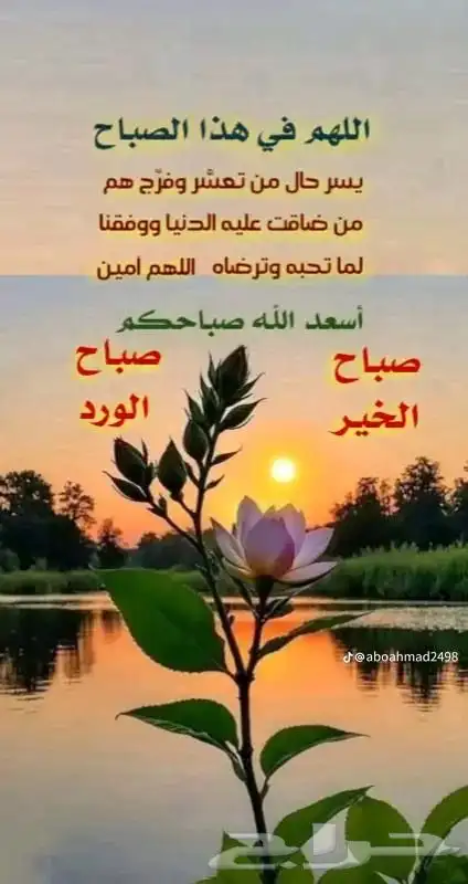 فرش الطموح للتنجيد وتفصيل جميع الموديلات 9