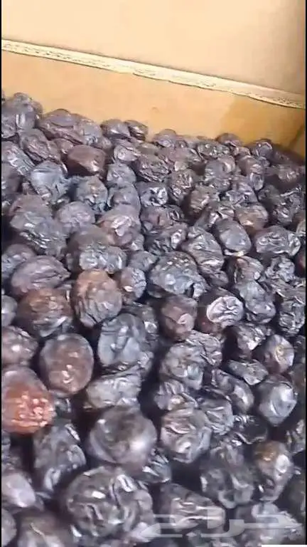 تمر عجوة 12ريال كيلو 0
