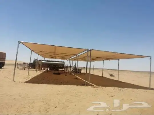 مظلات ابل وغنم 12