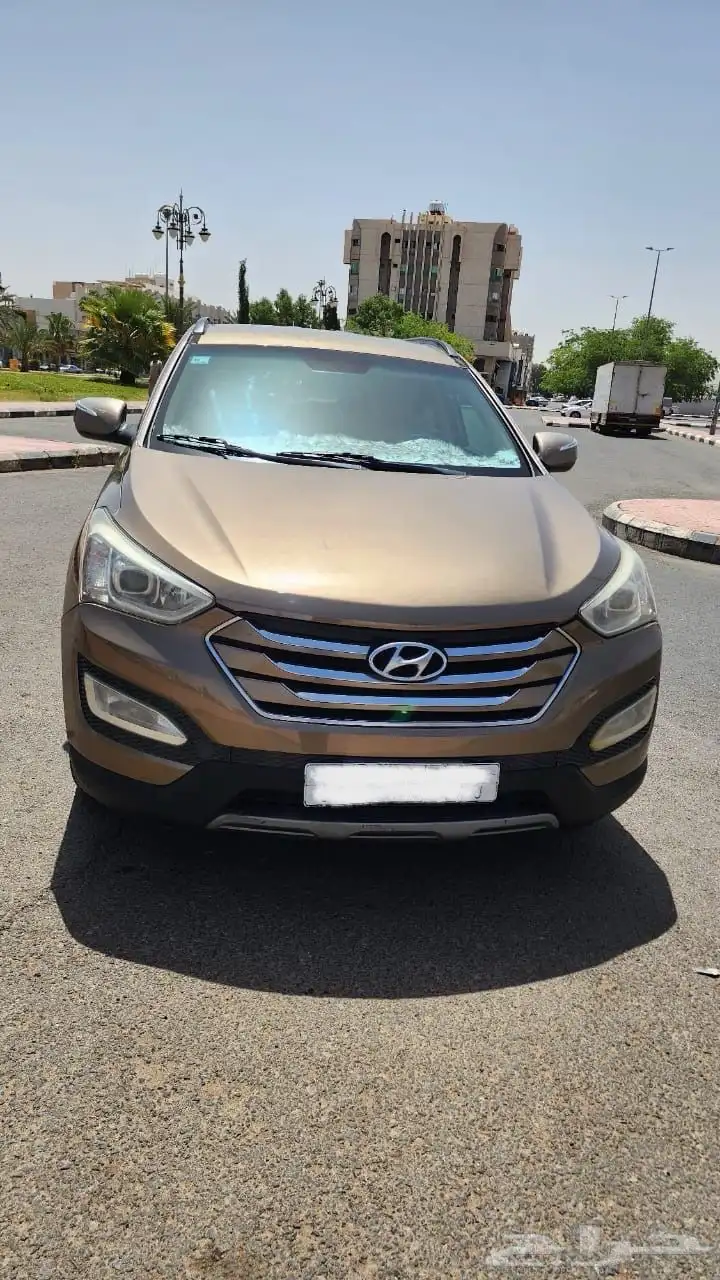 سنتافي 2014 0