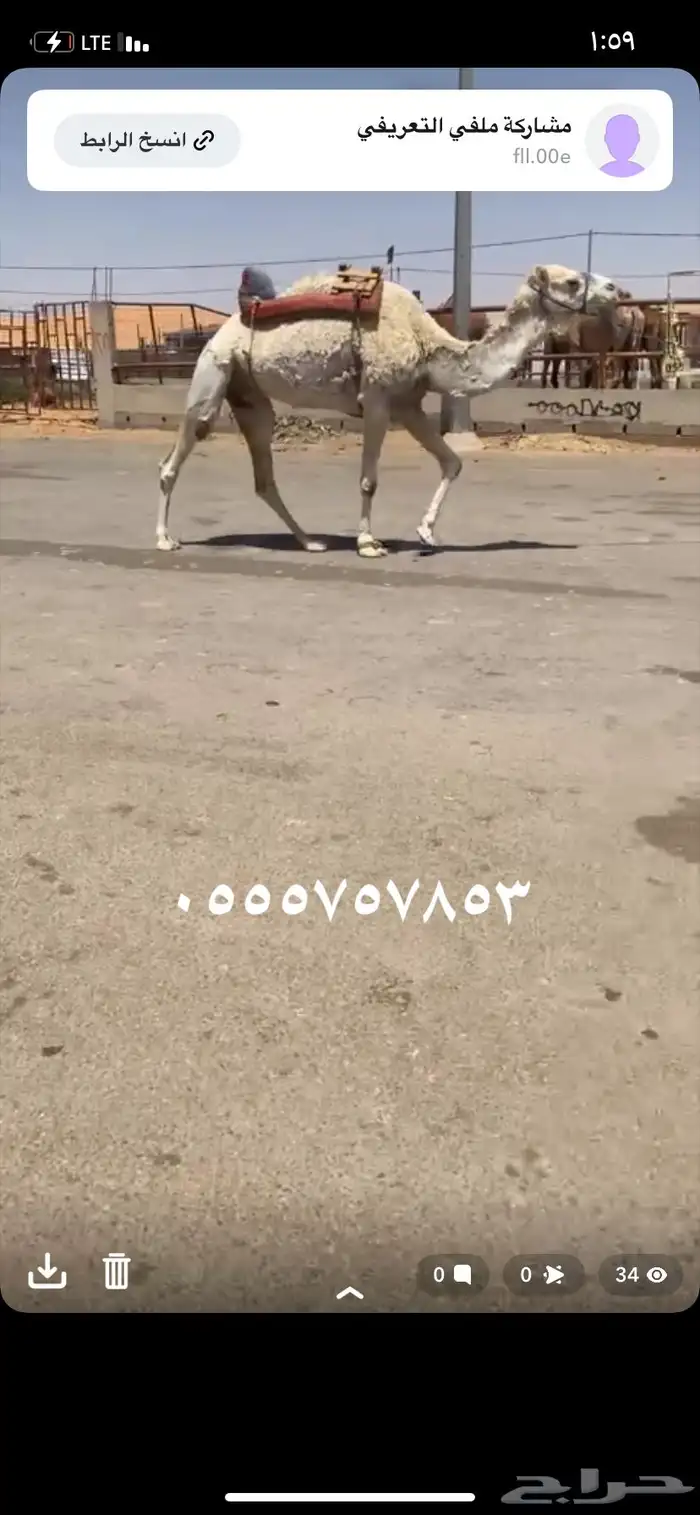 للبيع الرحول الي على جميع الشروط 3