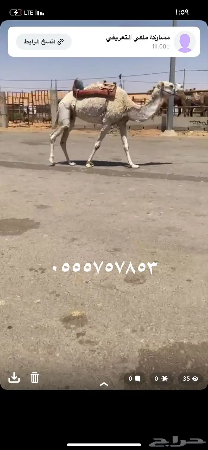 للبيع الرحول الي على جميع الشروط 1