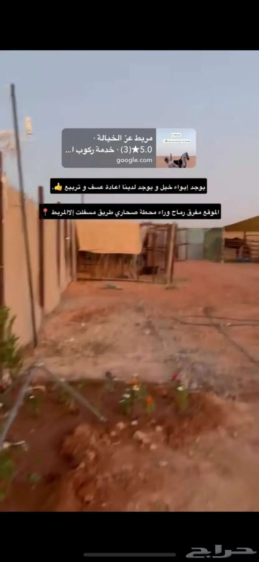 مفرق رماح الطريق زفلت لين يوصلك للاسطبل 1