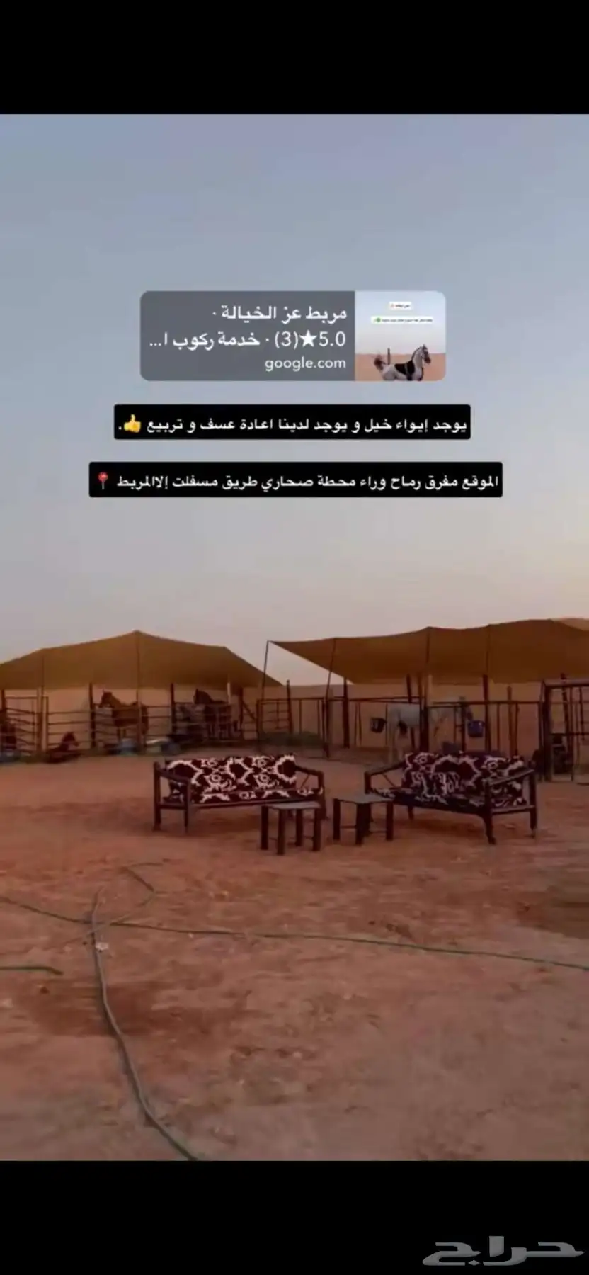 مفرق رماح الطريق زفلت لين يوصلك للاسطبل 5
