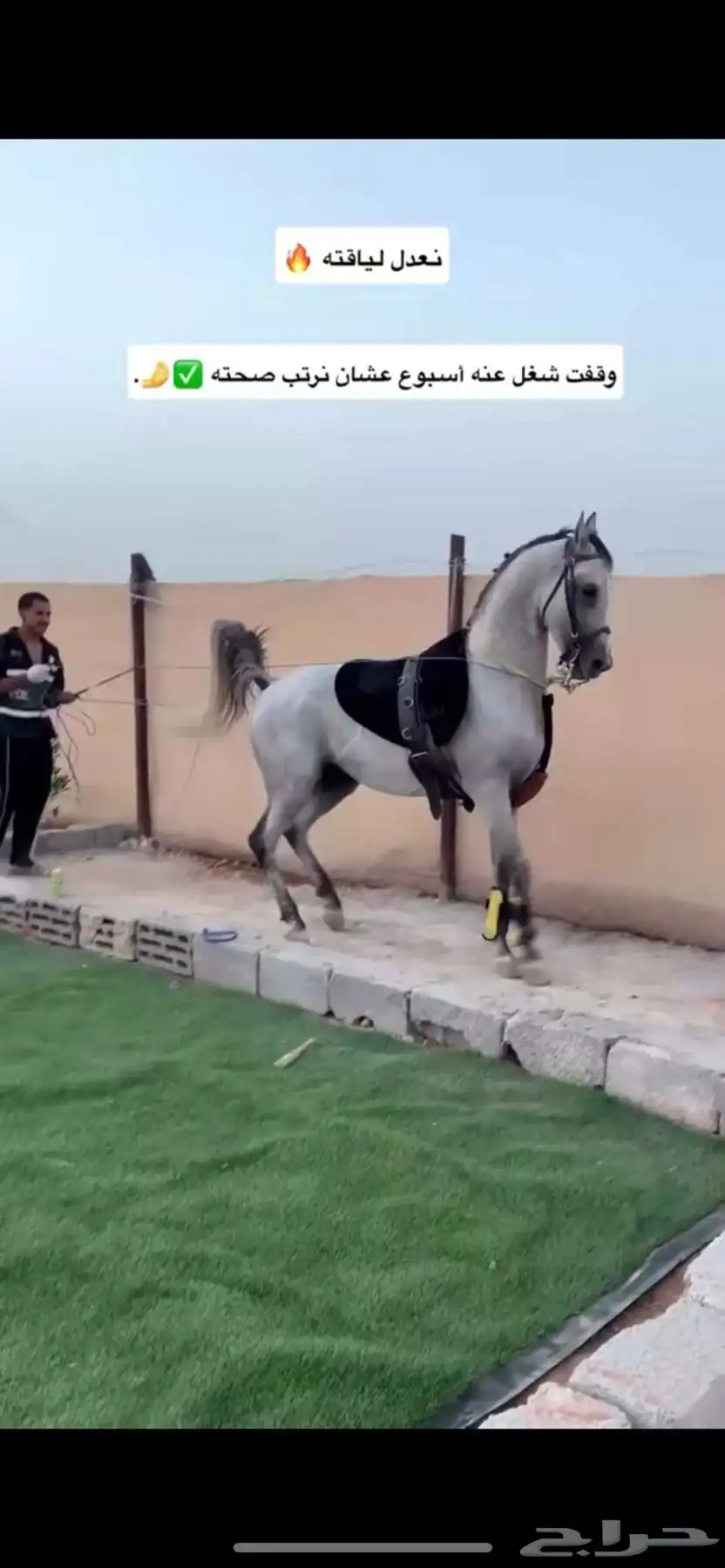 مفرق رماح الطريق زفلت لين يوصلك للاسطبل 4