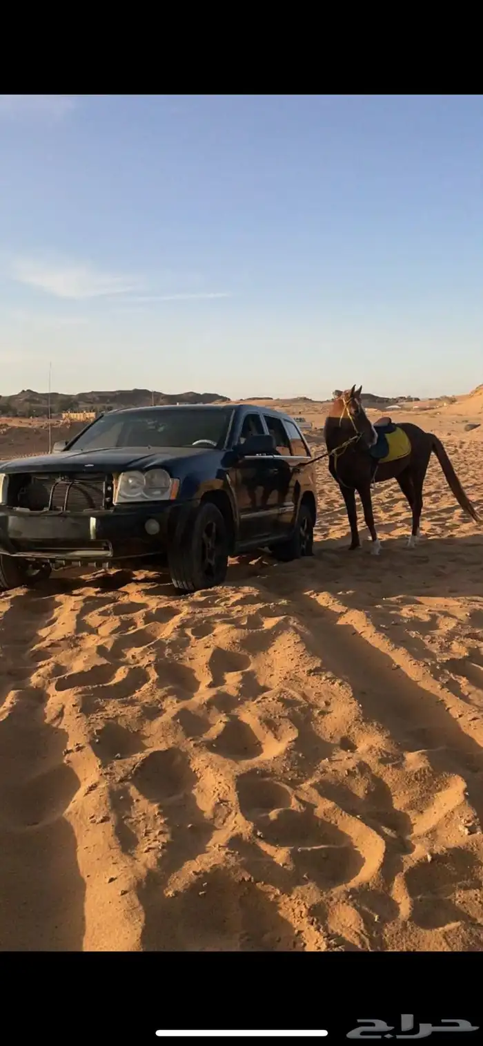 شيروكي 2007 2
