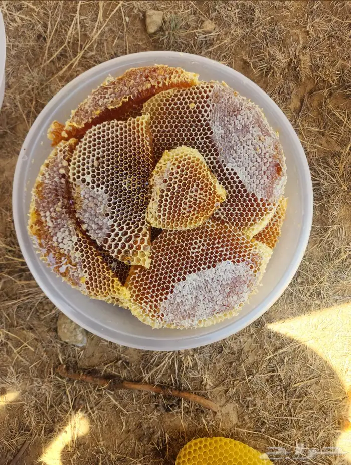 عسل اصلي مشروط 0