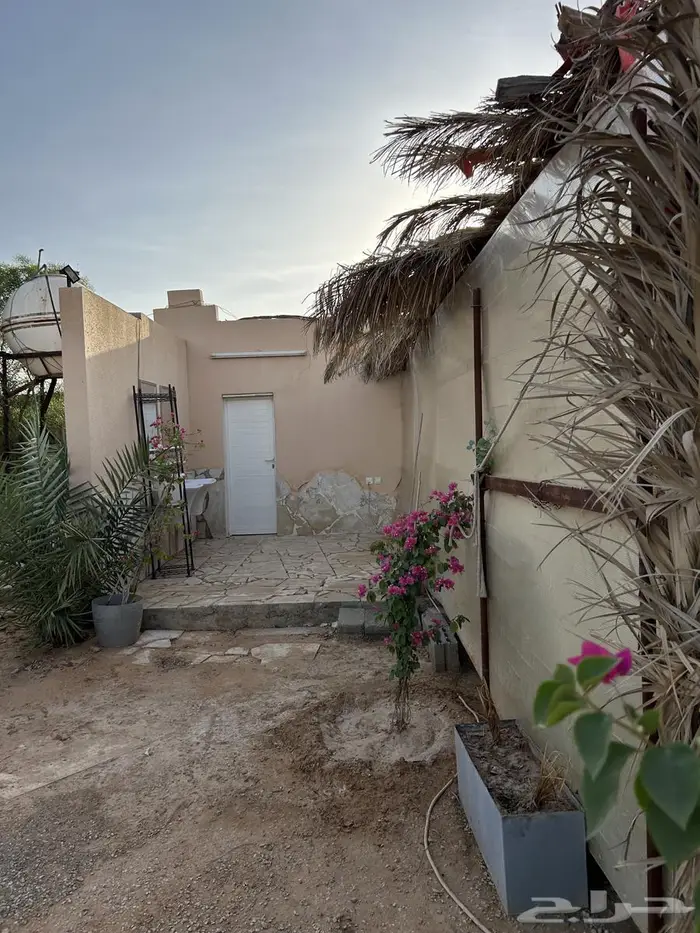مزرعة للبيع 0