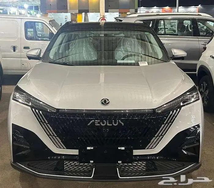 دونج فينج ميج نص فل وفل موديل 2025 كاش وتمويل 2