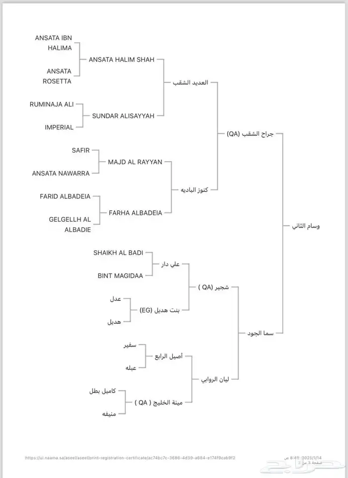 مربط AD للخيل العربية الأصيلة 1