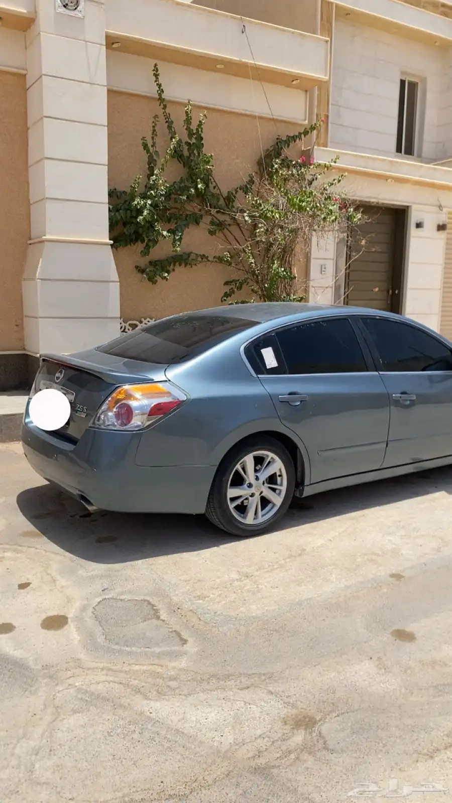 التيما 2010 1