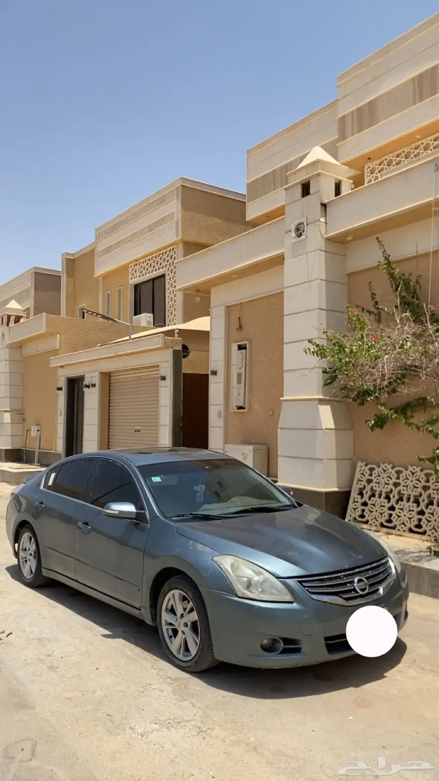 التيما 2010 2