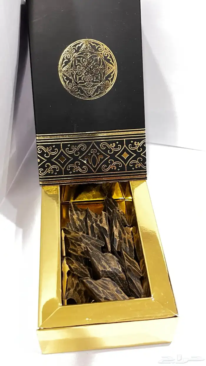 عود 23