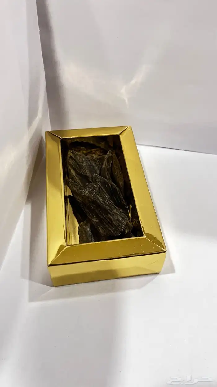 عود 37