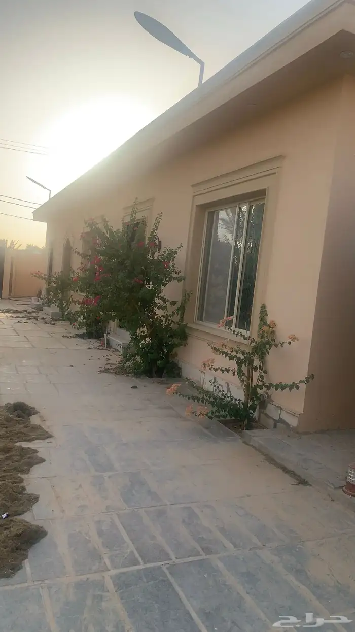 ديراب بعد الشفاء. استراحات وشاليهات وقريبه من مشروع القديه 13