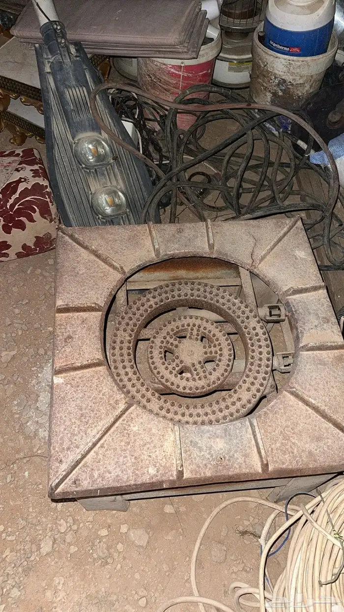 قز ذبايح 1