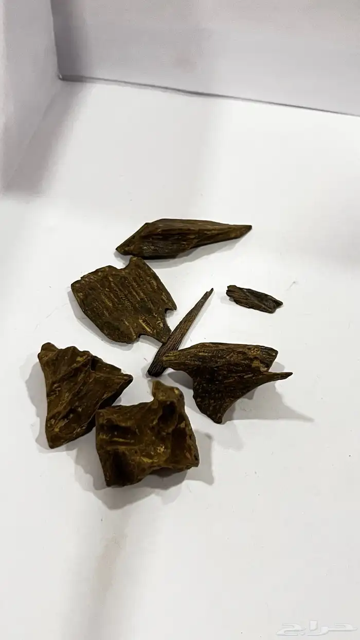 عود 15
