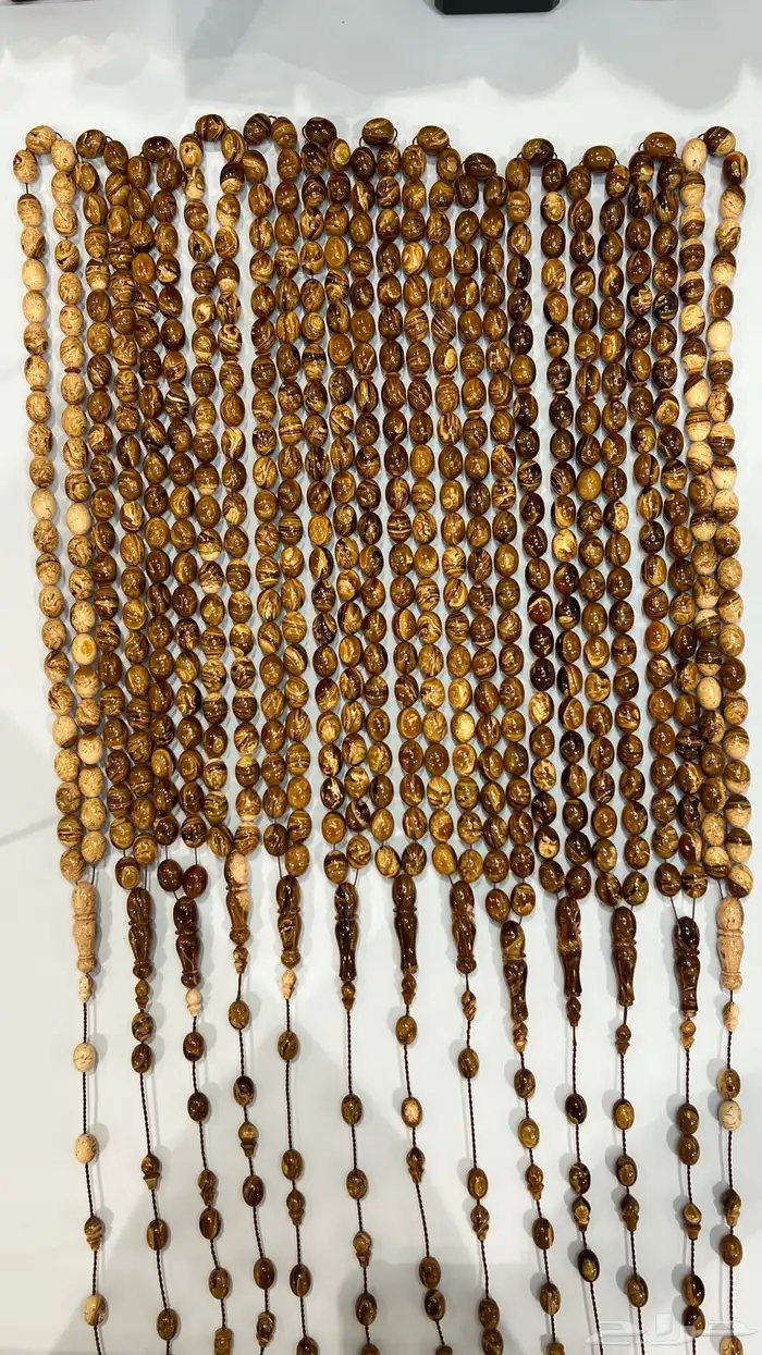 فاتوران فاخره جمله و مفرد 3