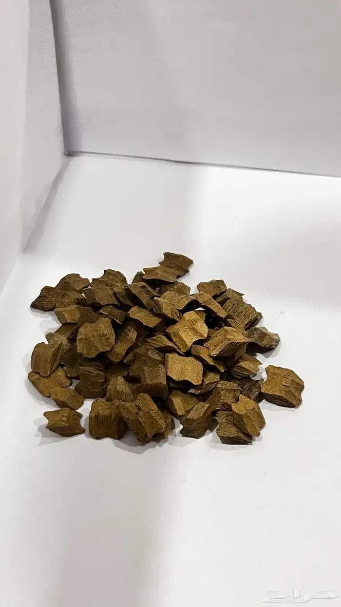 عود 8