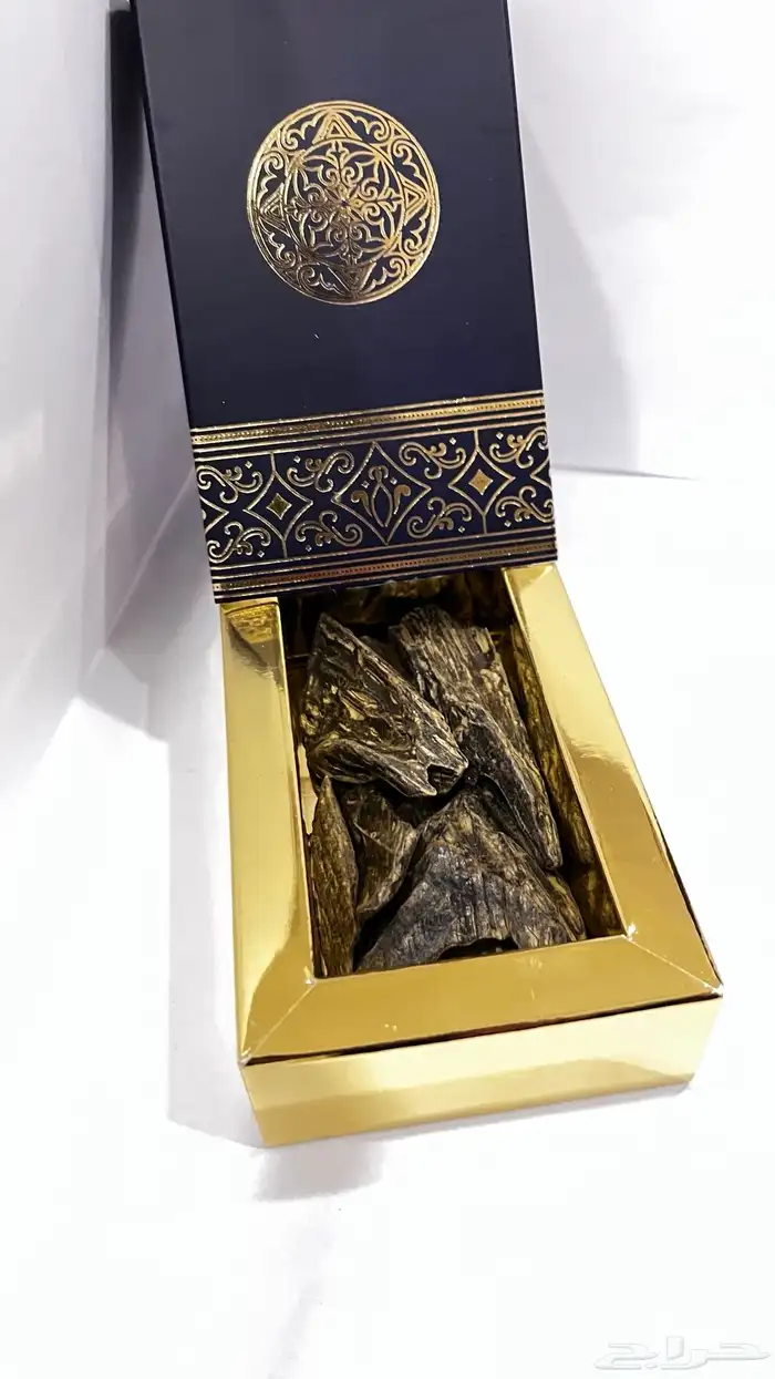 عود 26