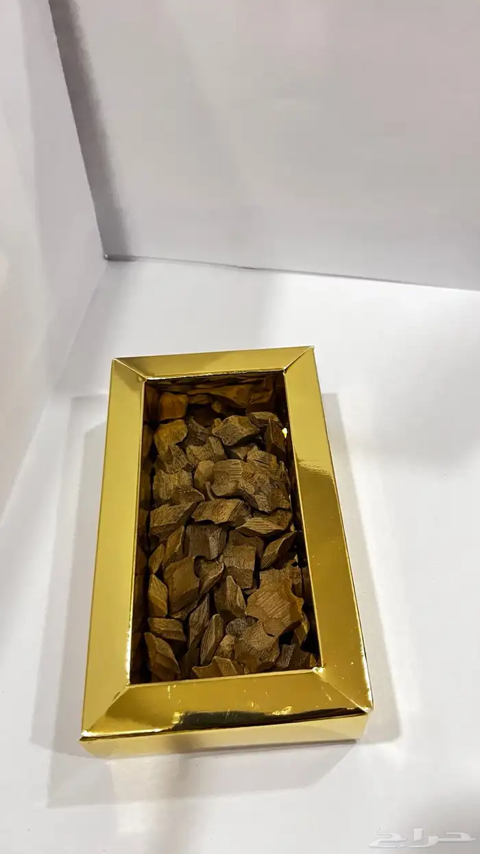 عود 31