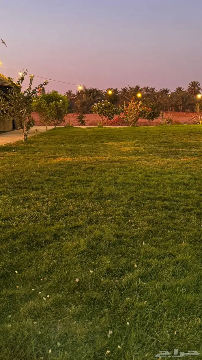 سناب 9