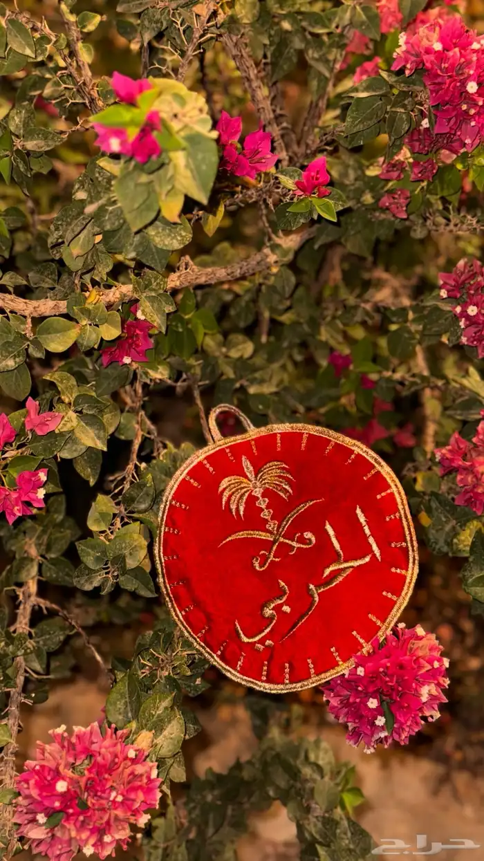 سناب 2