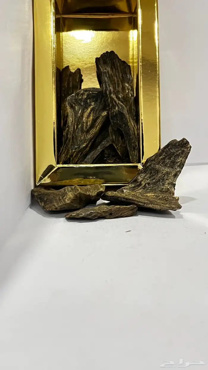 عود 3