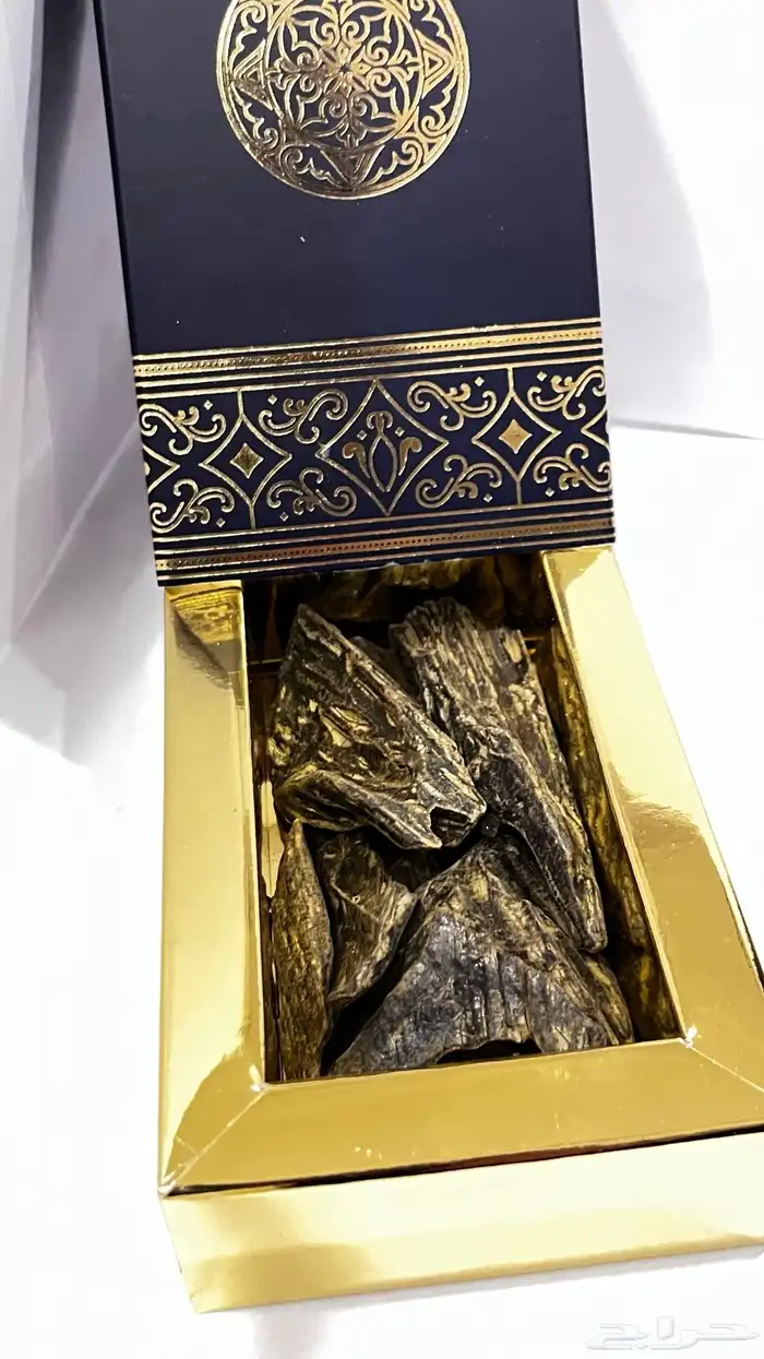 عود 25