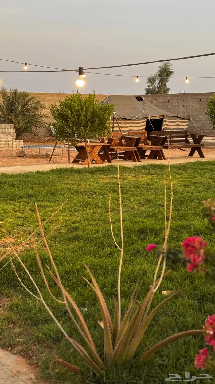 إعلانات 4