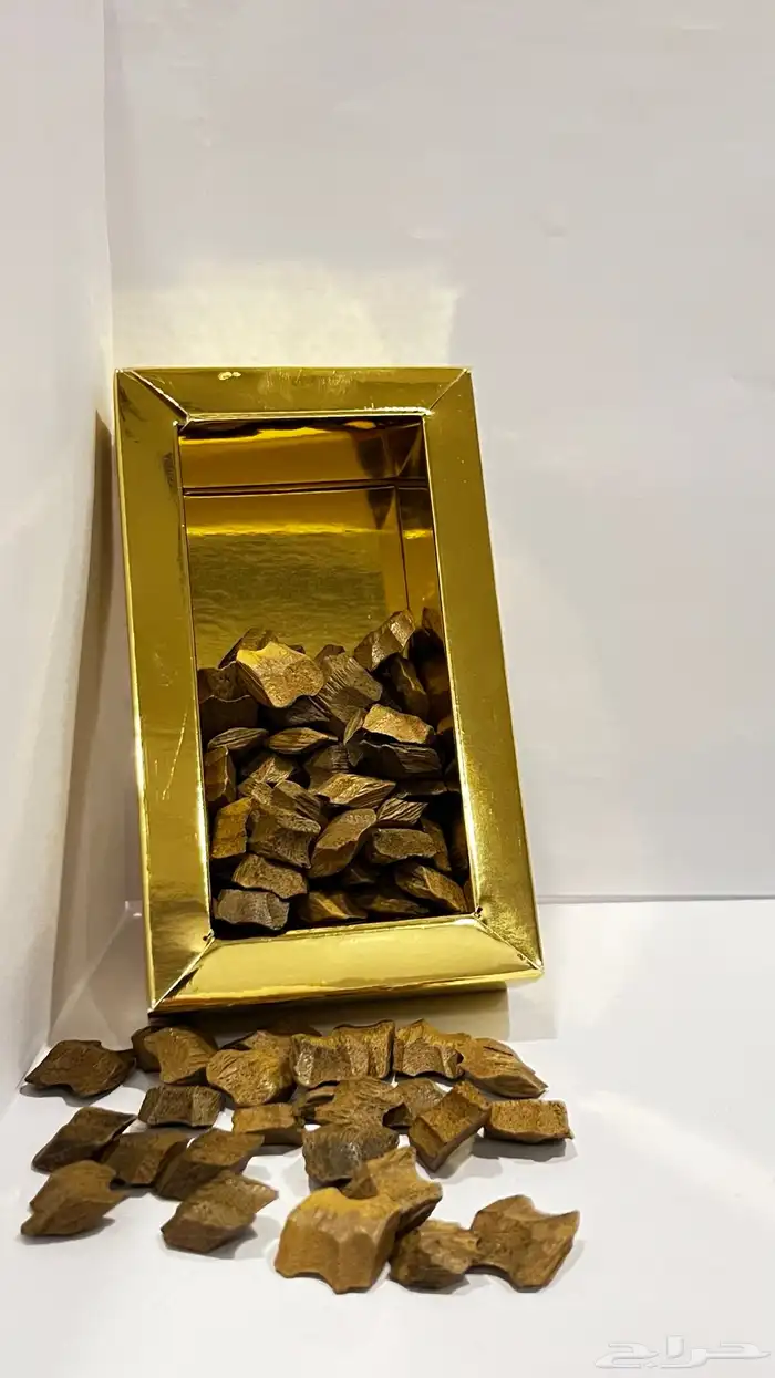 عود 5