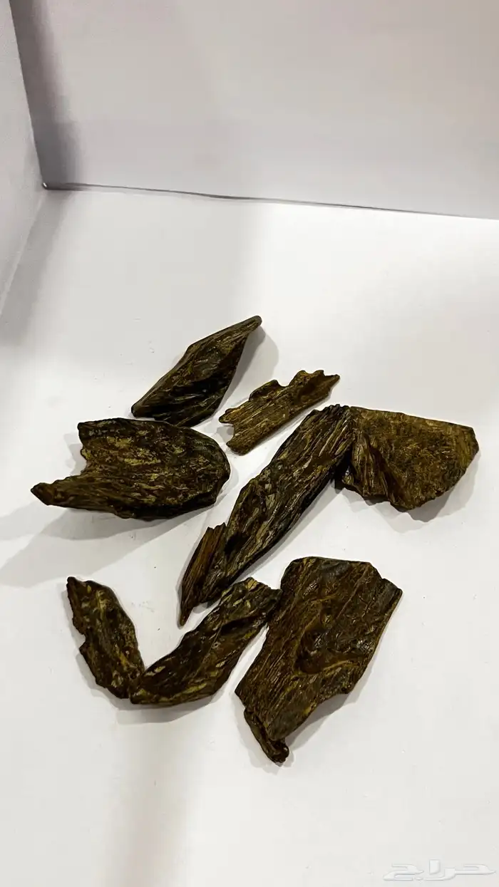 عود 16