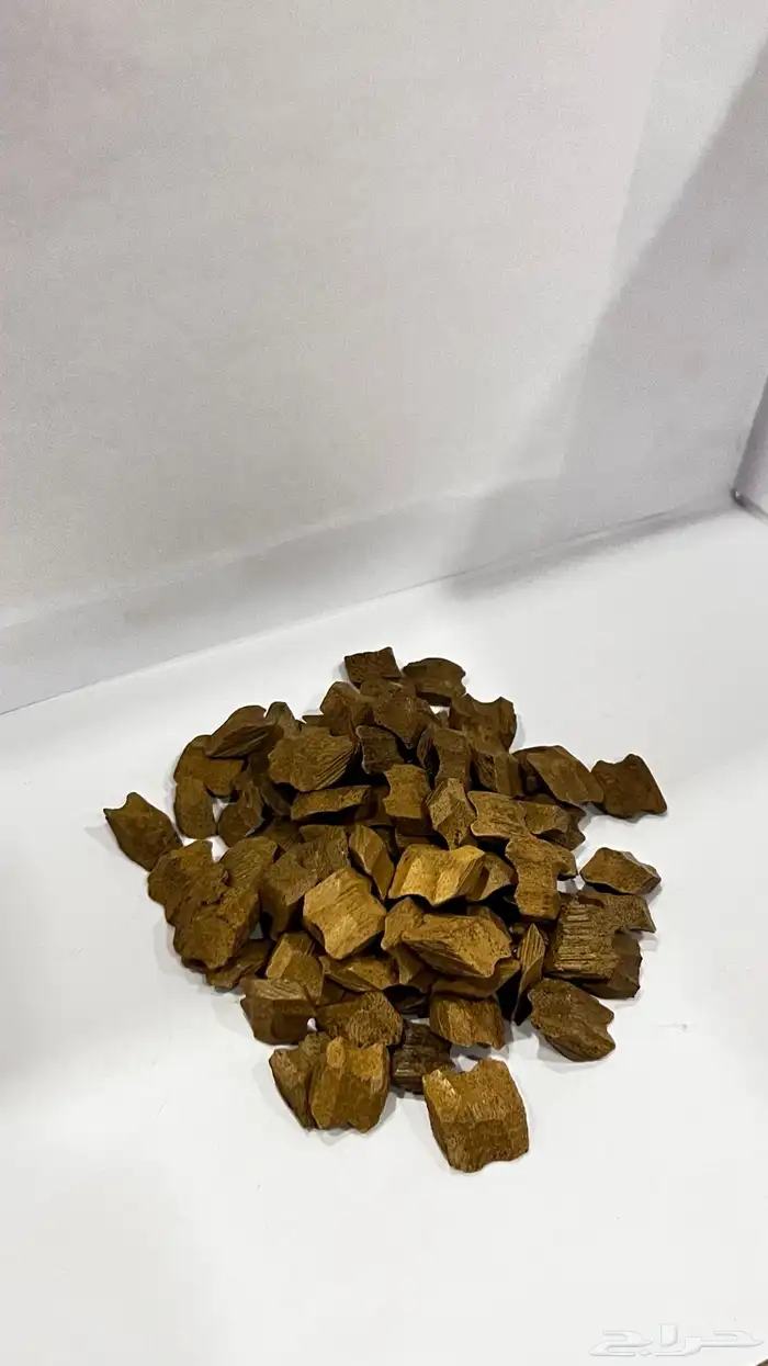 عود 7