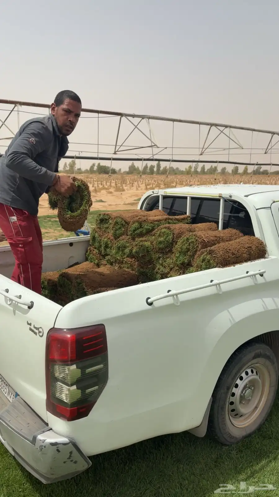 ثيل او نجم للاستراحات او للحدائق 3