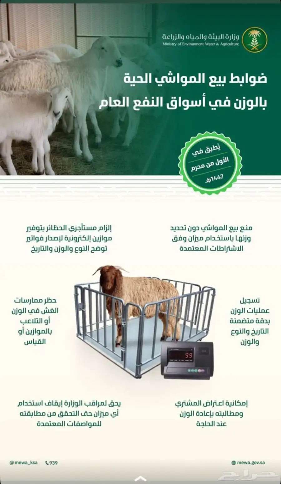 ميزان 600 كيلو 3