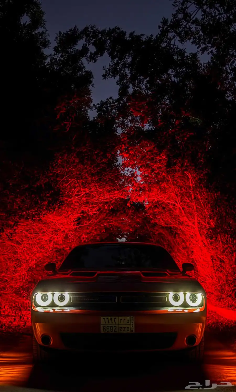 للبيع dodge challenger دودج تشالنجر 2016 0