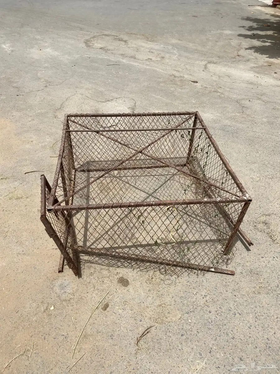شبك 1