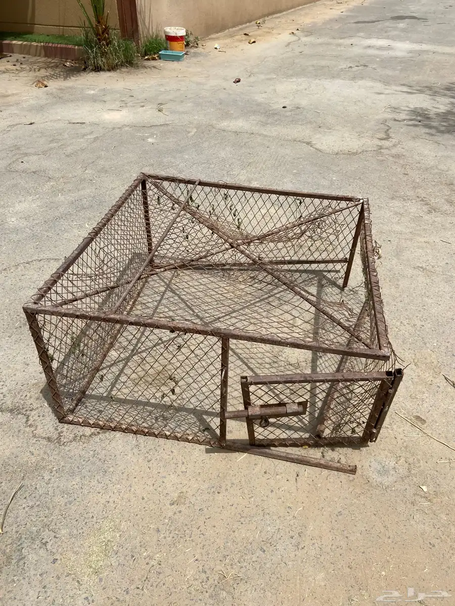 شبك 0