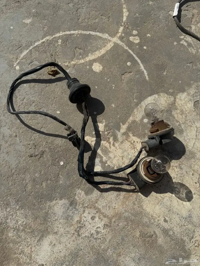 ظفيرة فورد فكتوريا وماركيز 3