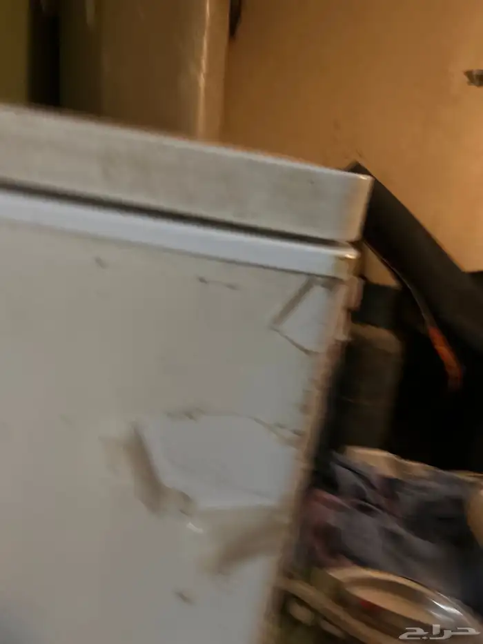 يحي المعلمي 59