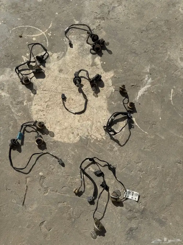 ظفيرة فورد فكتوريا وماركيز 4