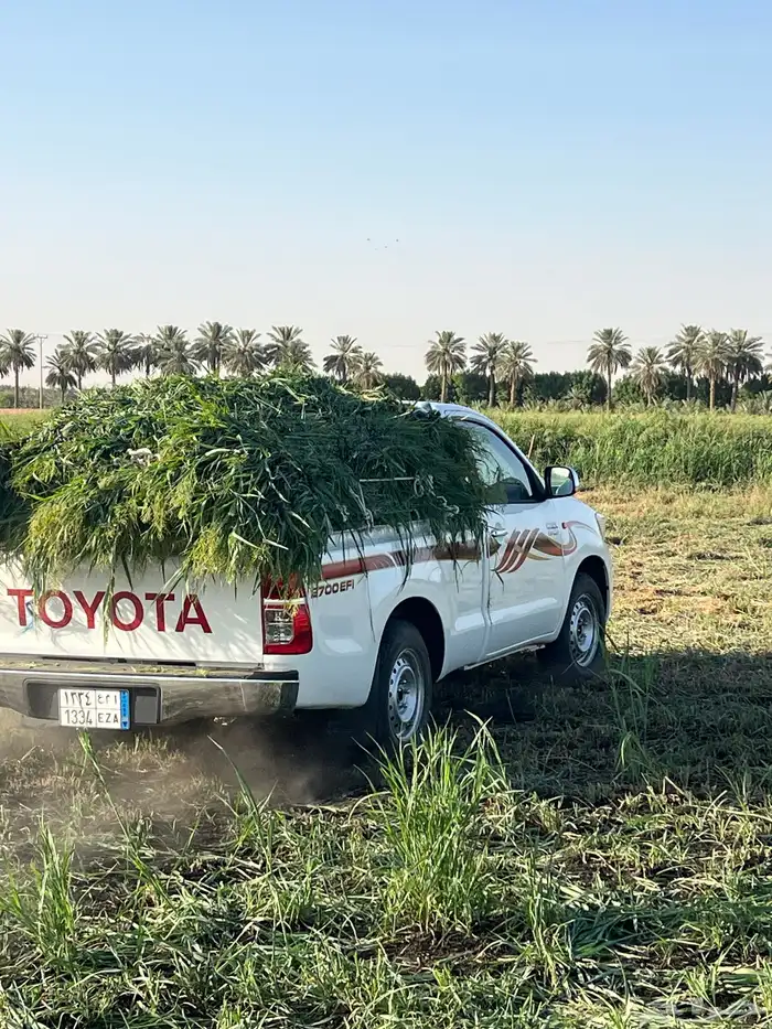 أعلاف بلوبنك اخضر 9