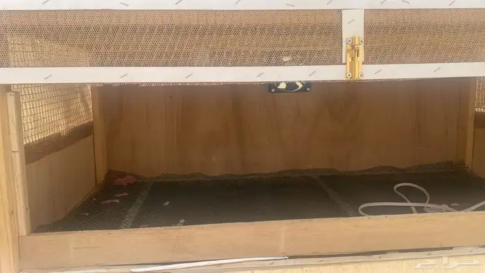 دروج حمام وطيور ودجاج 1
